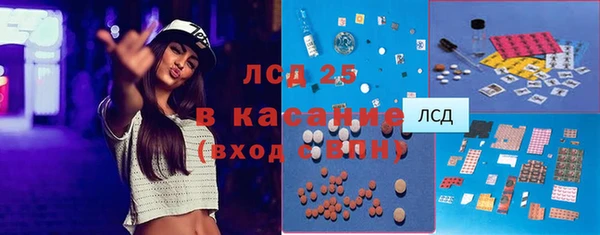 винт Лагань