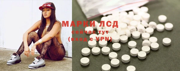 индика Лиски