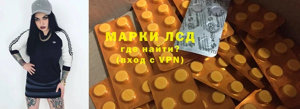 индика Лиски