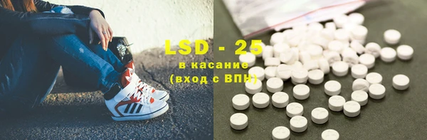 винт Лагань