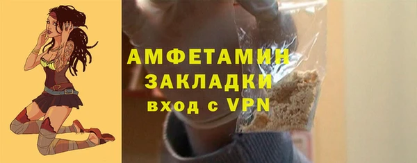 винт Лагань