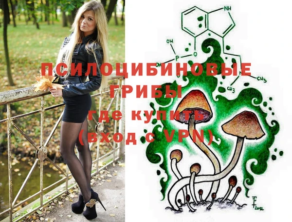 винт Лагань
