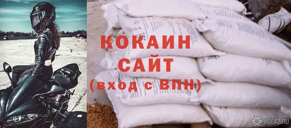 индика Лиски