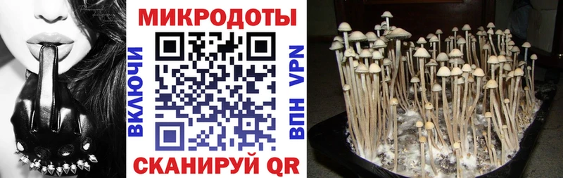 где купить наркоту Мелеуз Галлюциногенные грибы мухоморы