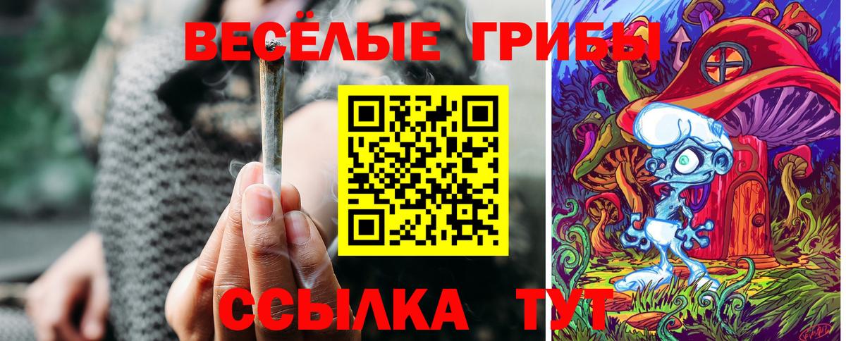 Псилоцибиновые грибы прущие грибы  Вход с VPN  Мелеуз 